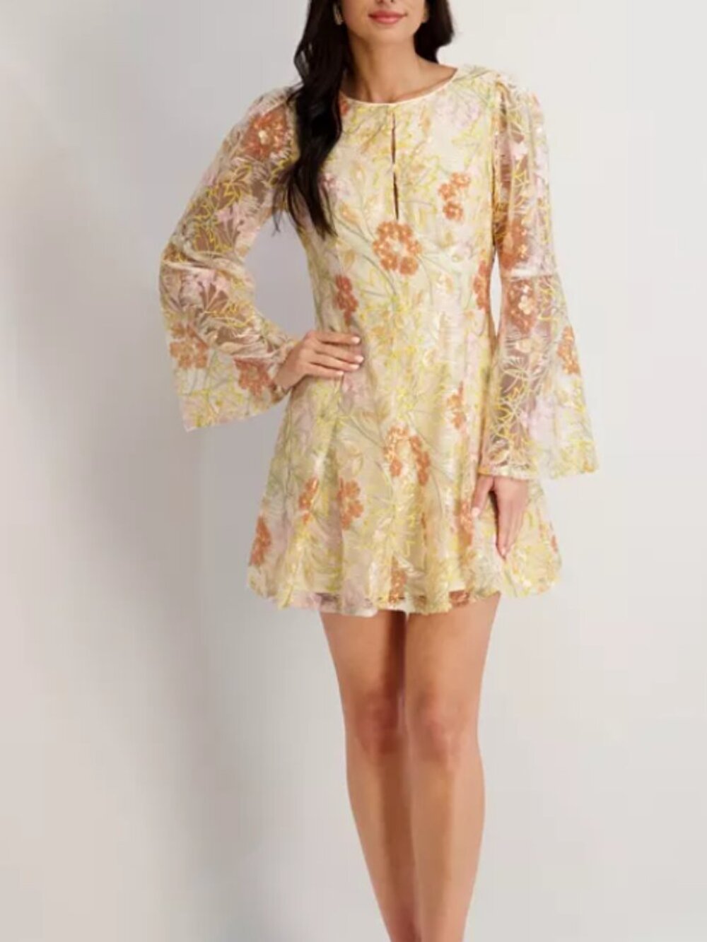 Kensie Women's Embroidered Keyhole Neck Mesh Dress Size 8